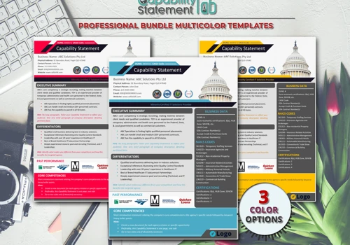 Business Capability Statement Template