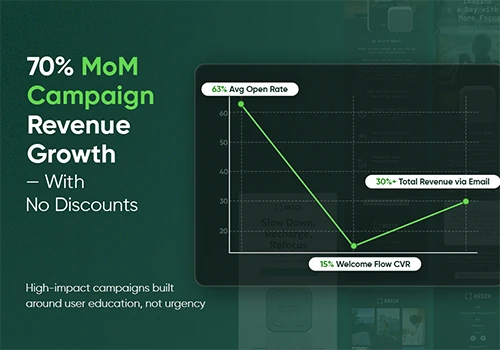 Full-Funnel Email Marketing Launch & Execution