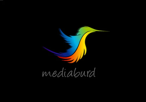 Media Bird Logo Design