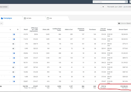 Generated $49,129 in sales at a 3.98 ROAS