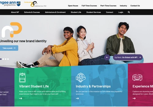 NP Website Design and Development