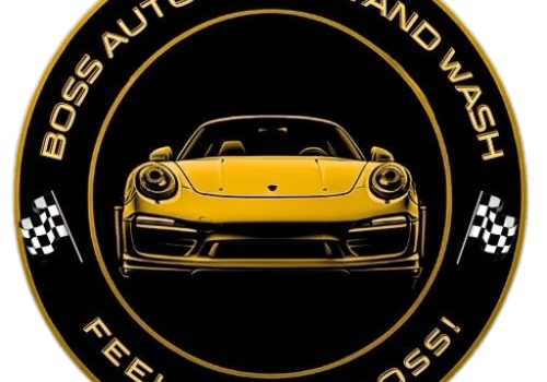 Website Design/ Development & SEM