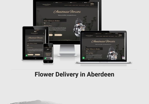 Black & Blue Tech Labz's eCommerce Website Project