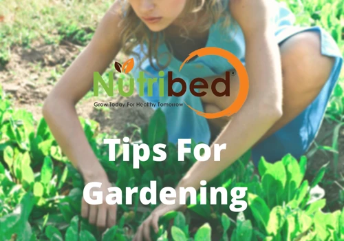Gardening Product startup