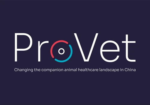 Brand Identity Design - ProVet