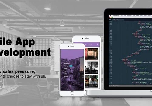 Mobile Application