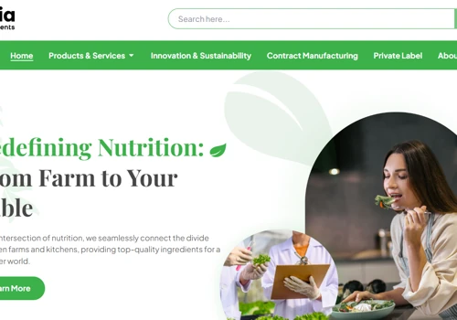 Branding, UI/UX & SEO Service
