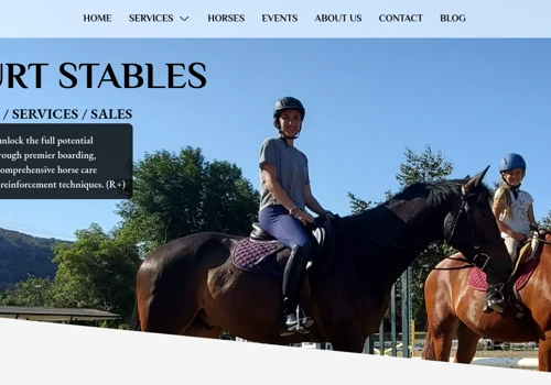 Custom Next.js & Payload CMS website