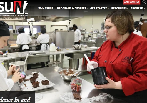 Web Development for Arkansas State University