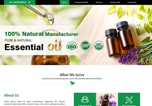 Website Design
