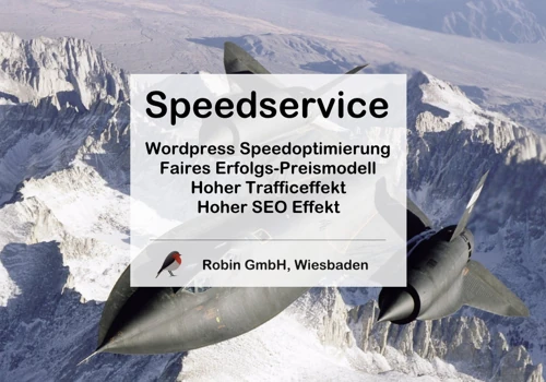 Wordpress Speed Service