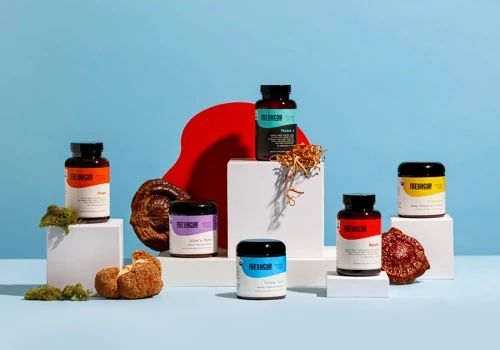 Ecommerce Brand, Packaging, and Web Design