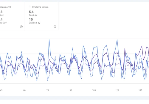 SEO Strategy & Performance Optimization