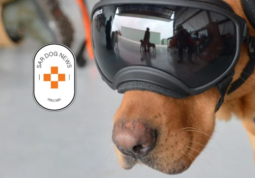 SAR Dog News