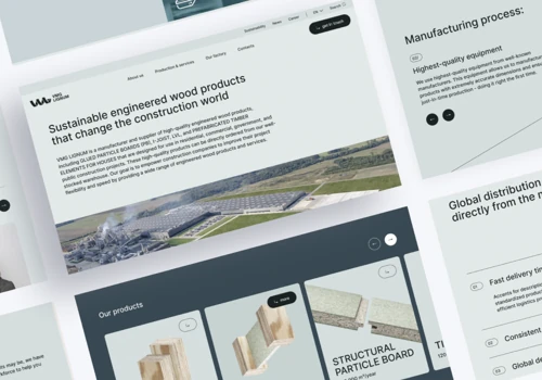 VMG website development