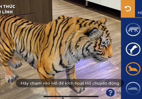 Tiger Uncage