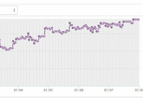 Client SEO Results