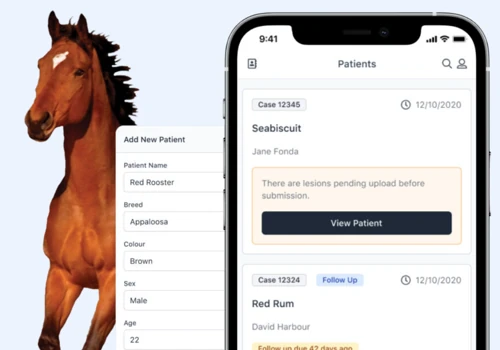 Equine Medical Solutions