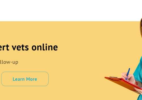 Content Marketing for AI-led Pet Consulting Firm