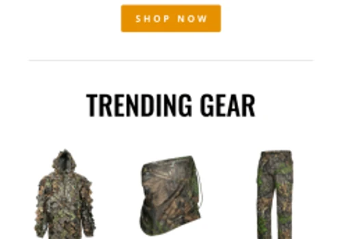 Email Marketing Consultation For Mossy Oak