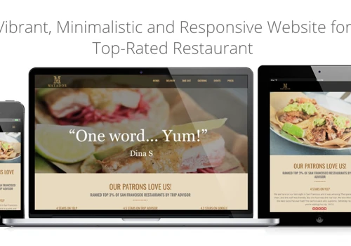 Website Design for Matador