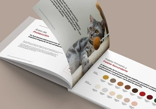Design and creation of a strategic brochure
