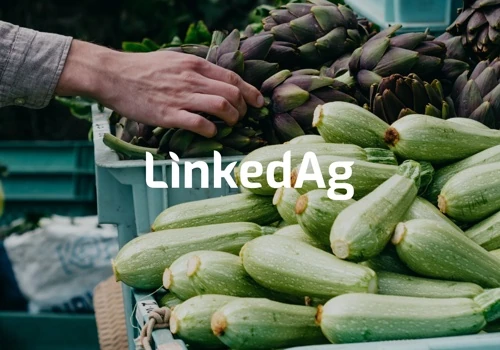 Linked AG