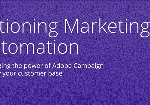 An informative paper about leveraging the power of Adobe Campaign to grow your customer base (White Paper)