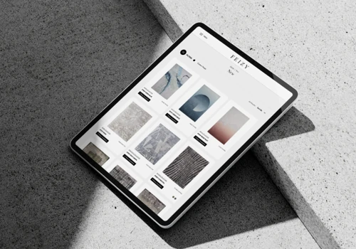 Feizy's Award Winning Website