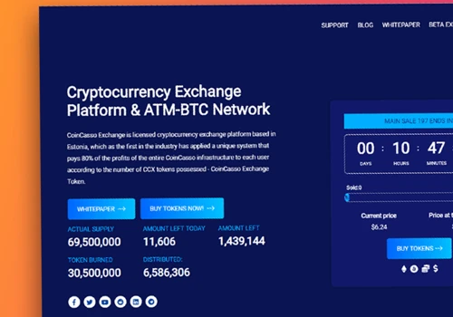 CoinCasso - IT Solutions