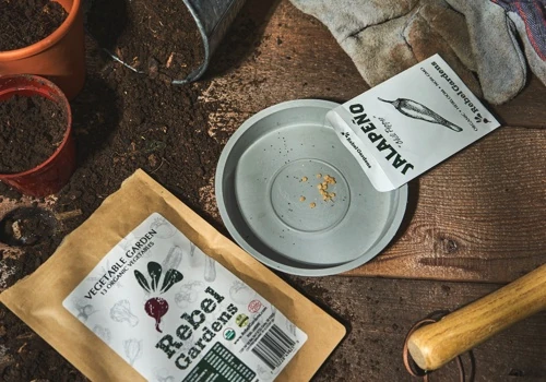 Rebel Gardens -Jalapeno Lifestyle & A+ Photography