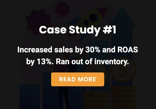 Case Study: Increased sales by 30% and ROAS by 13%