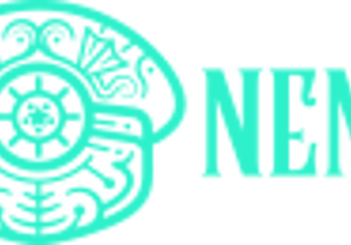 Nemo.gg - Product website, and Windows application
