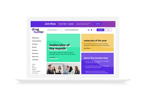 Drug Hunter - Web Design & Development