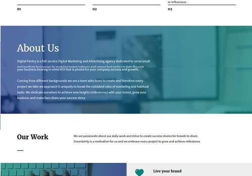 Digital Pentry Website Development