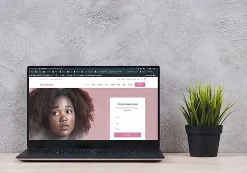Ecommerce Website