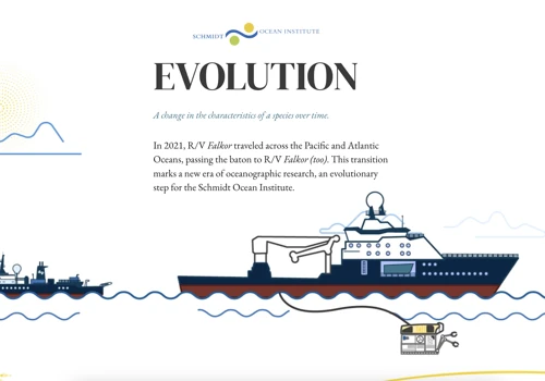 Schmidt Ocean - Impact Report 2021