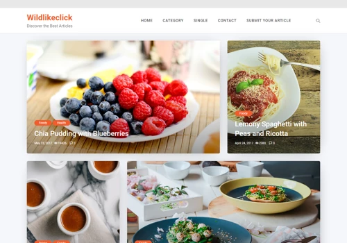 Blog Website Development