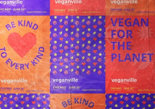 Eco-Friendly Food Festival Branding