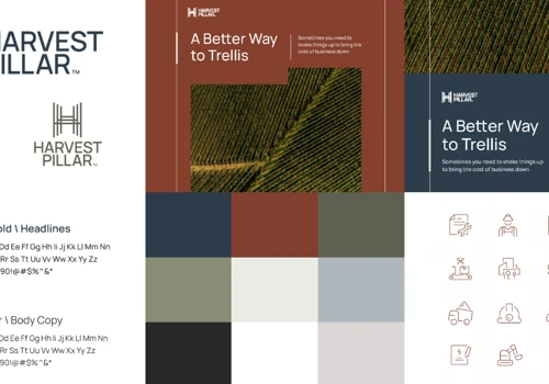 Concrete Growth: Building the Harvest Pillar Brand