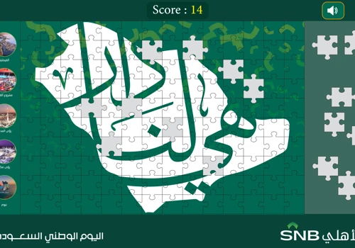 SNB Puzzle