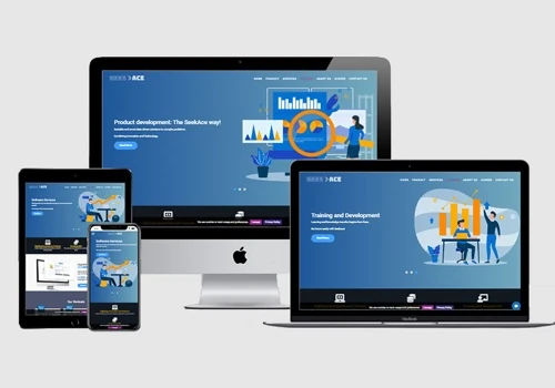 Seekace website design and development