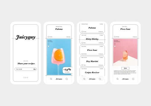 Juicy Guy UX/UI project