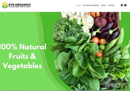 E-commers Website Development