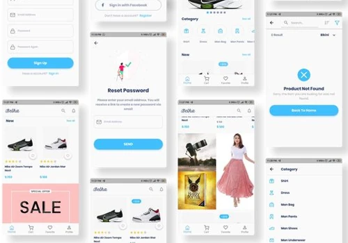 Ecommerce application Development