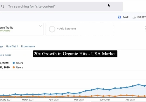 20x Growth for Electronic Services Firm