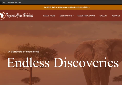 Tazama Africa Holidays Website