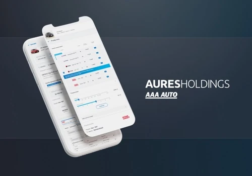 Internal Fintech App for CEE Car Dealer