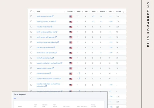 Ranking Page 1 For Boutique Midwifery