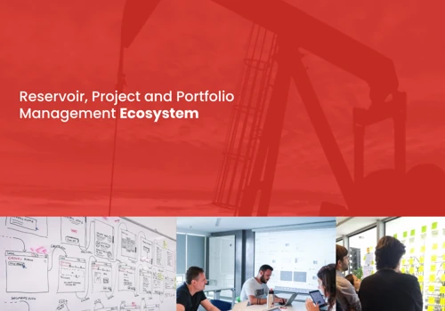 Oil & Gas Platform Development